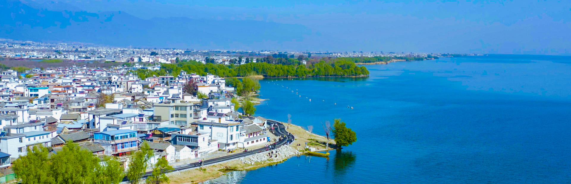 業(yè)務(wù)板塊