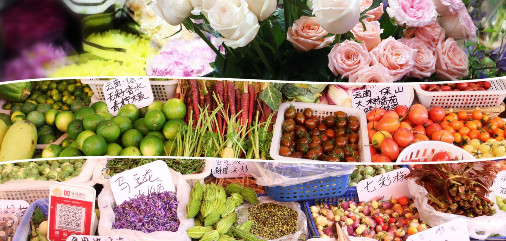 立春，去篆新簽收一束春天