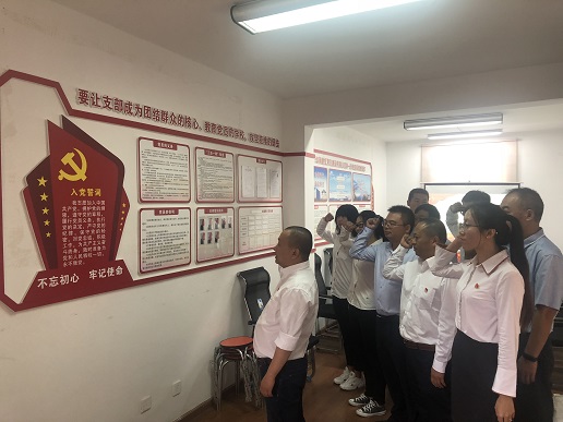 公司第一水電項(xiàng)目部開(kāi)展七一主題黨日活動(dòng)