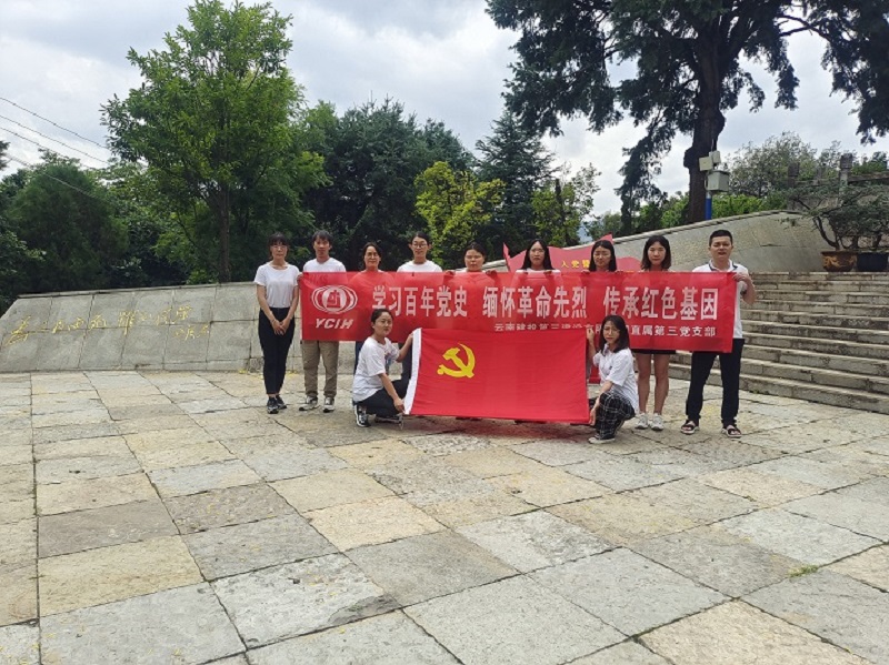紅色路線丨公司多家單位組織開展主題黨日活動