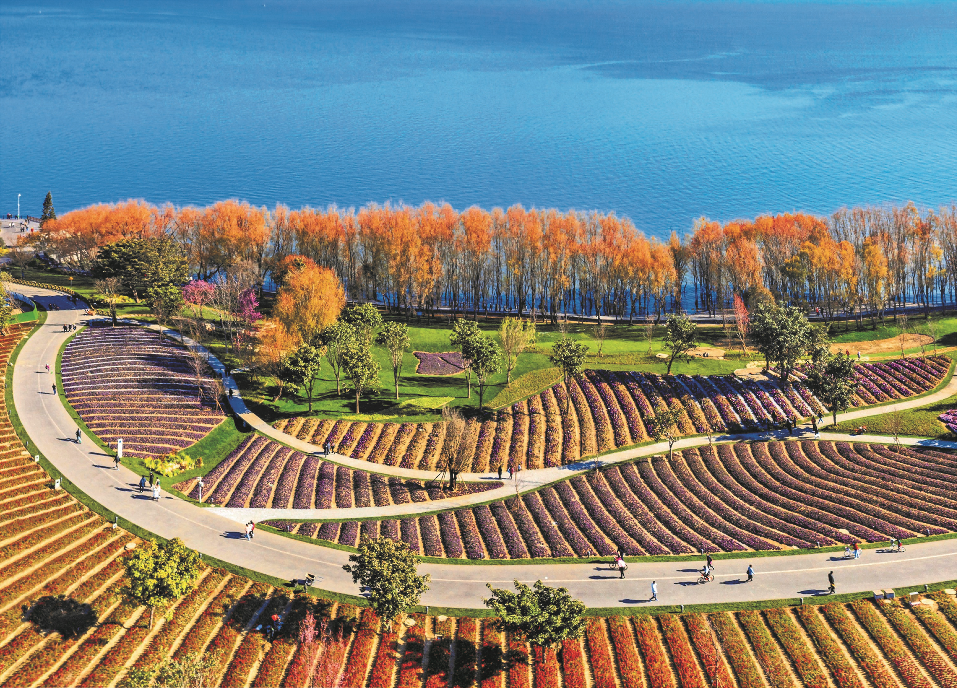 大理洱海生態(tài)廊道